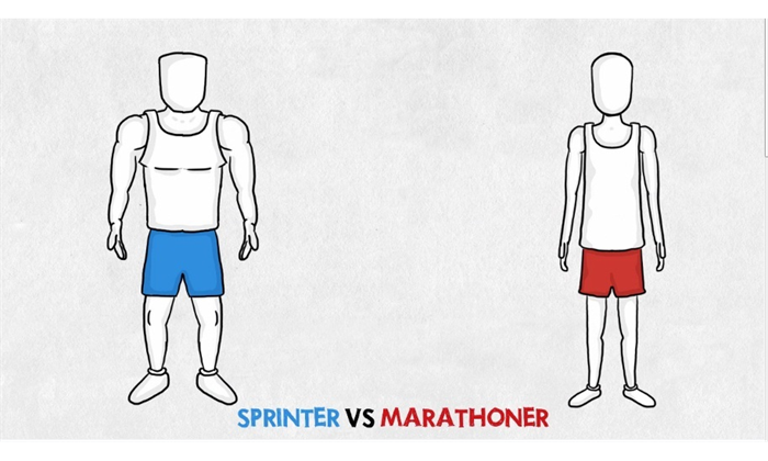 Sprinter vs Marathoner